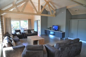 Smart TV, fireplace, DVD player