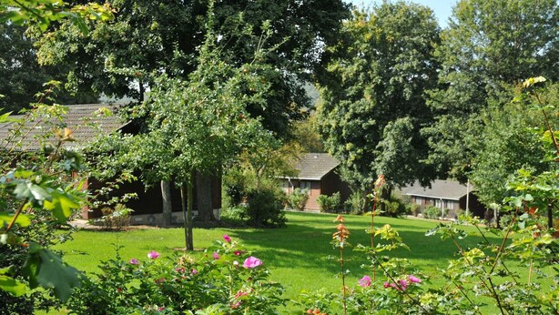 A garden with a lawn, trees, and a small building.