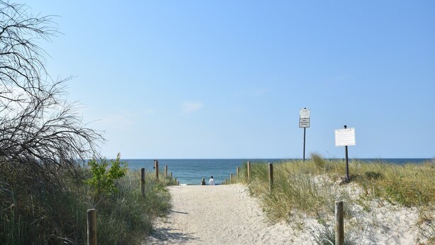 A sandy beach path with signs and sparse vegetation.