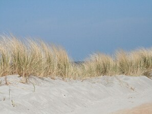 Beach nearby - Charmantes Apartment in Jennewitz, in Ostseenähe (Jennewitz)