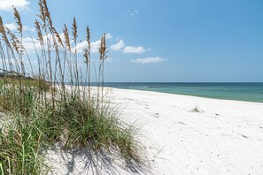 Une plage de sable avec de hautes herbes.