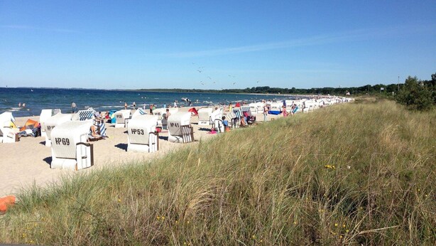 Ein Strand mit Reihen von Liegestühlen und Sonnenschirmen, eine Rasenfläche im Vordergrund und das Meer im Hintergrund.