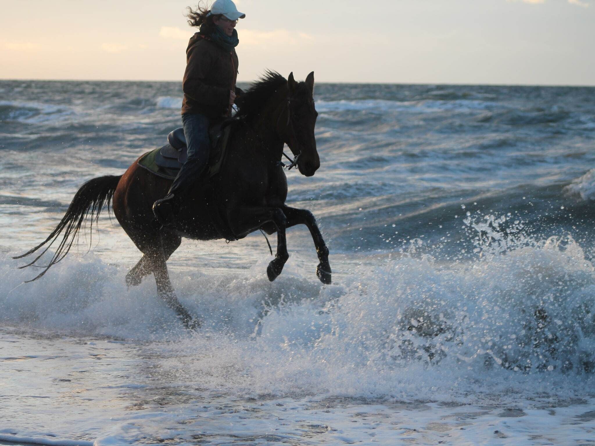 Una persona montando a caballo en una playa, con olas rompiendo sobre la orilla.