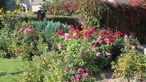 Ein Garten mit verschiedenen blühenden Pflanzen und Sträuchern, einem Weg und einer Backsteinmauer.