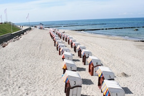 Ein Strand mit Reihen nummerierter Strandkörbe entlang der Küste.