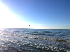 Ein freier Blick auf das Meer mit Wellen und einem Vogel, der in der Ferne fliegt.
