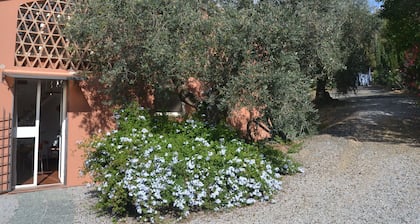 Charming Tuscan Home Wi-Fi