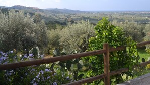 A view of a countryside landscape with olive trees and cacti, a wooden fence, and distant hills. - Charming Tuscan Home Wi-Fi (Castagneto Carducci)