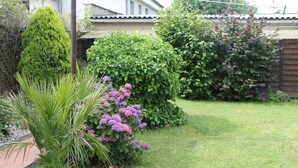 Ein gepflegter Garten mit vielfältigen Pflanzen, darunter ein hoher, kegelförmiger Baum, ein blühender Strauch mit violetten Blüten und eine palmenähnliche Pflanze im Topf.