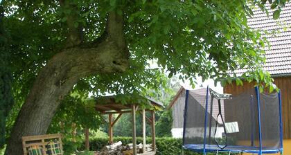 Wohnung in Lichtenhain nahe Wanderwegen