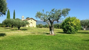 A rural landscape with a small stone building, possibly a chapel, surrounded by olive trees and a clear blue sky.