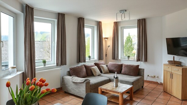 A living room with a sofa, a coffee table, a TV, and a view of the outdoors. - Modernes Apartment in Willingen mit Balkon (Willingen)