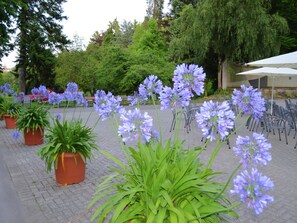 Overnattingsstedets uteområder