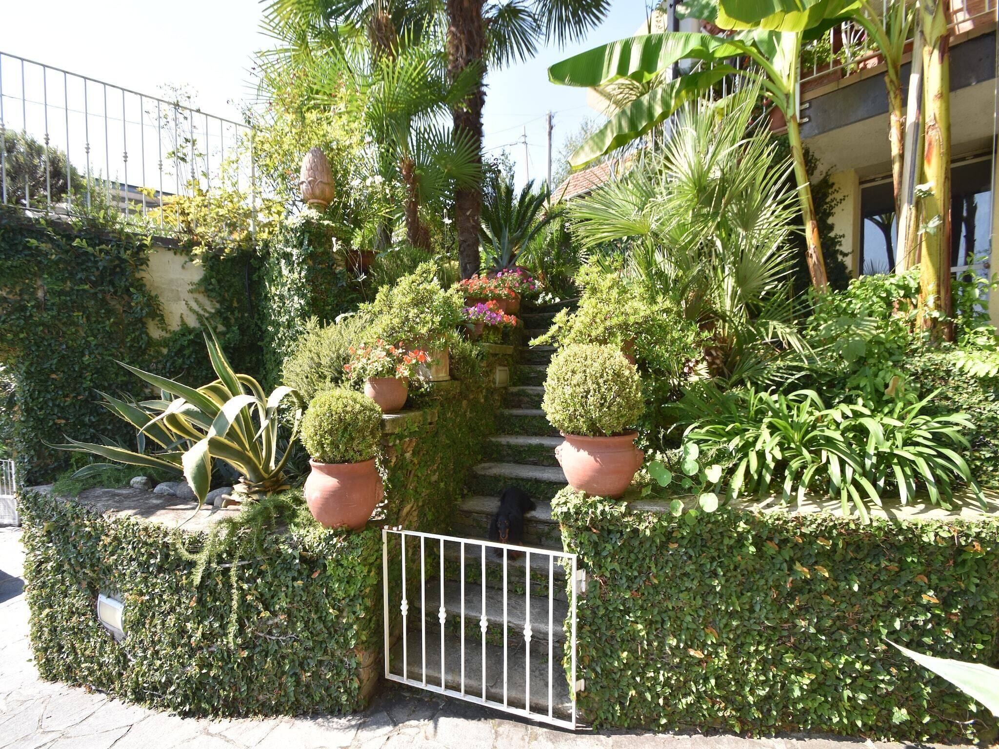 Un jardin luxuriant, agrémenté de différentes plantes en pot et doté d’un portail en métal.