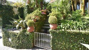 A lush garden with various potted plants and a metal gate.