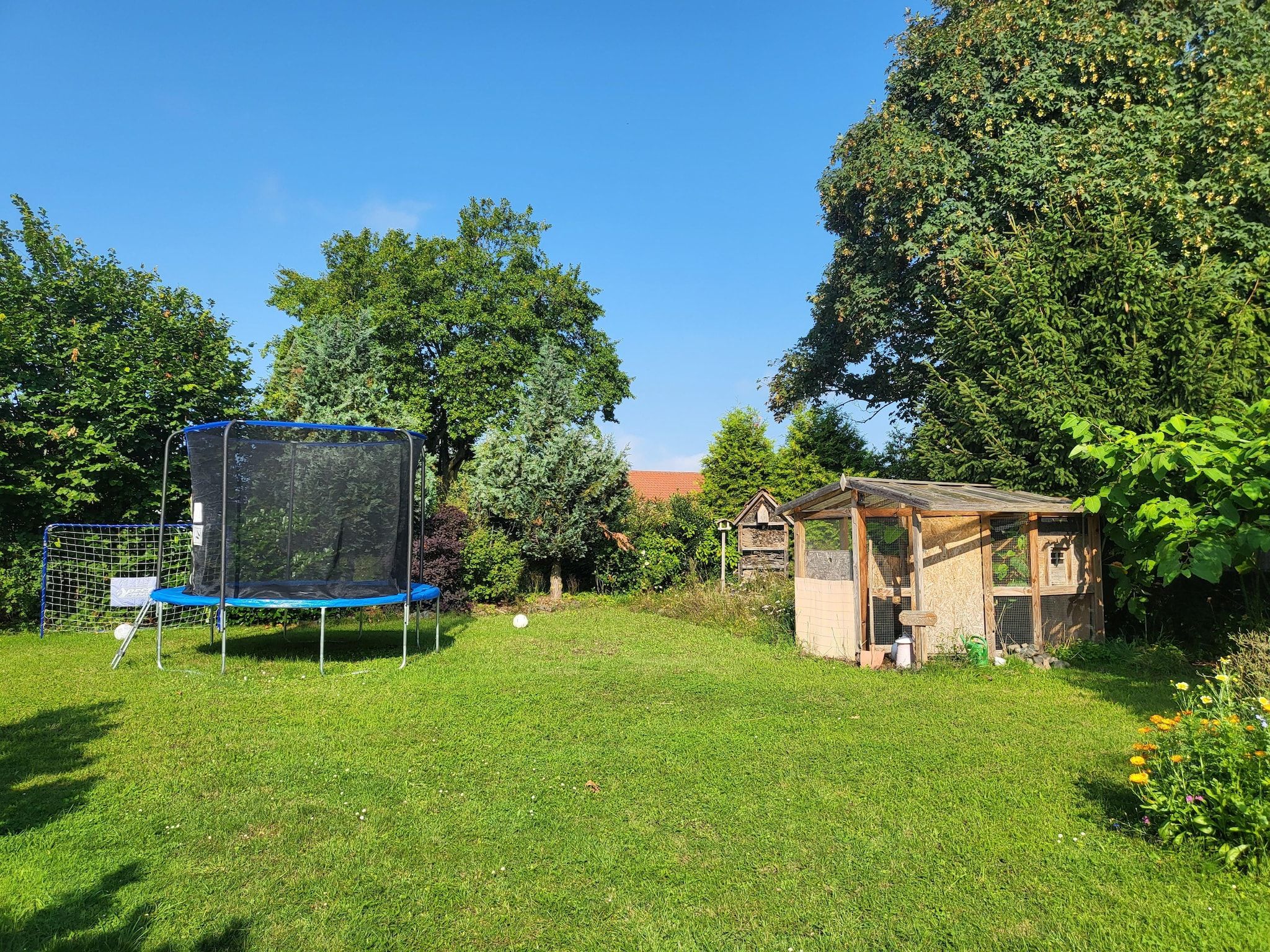 Ein Rasengrundstück mit einem Trampolin und einer kleinen Holzhütte.