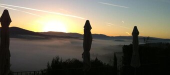 Tillflyktsort bland vingårdar