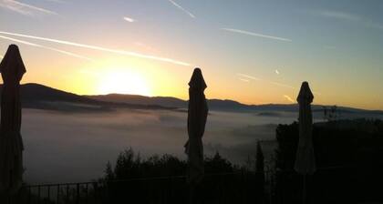 Getaway Amidst Vineyards