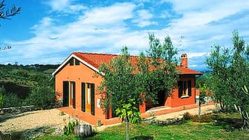 Ulkopuoli