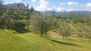 Un paysage rural avec une grande maison située sur une colline, entourée d’oliviers et dominée par des collines ondoyantes à l’arrière-plan.