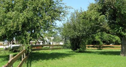 Maison de vacances spacieuse avec barbecue dans