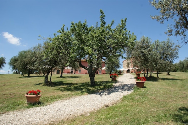 A gravel path leading to a building surrounded by trees and potted plants. - Belvilla by OYO Istrice (Capraia E Limite (fi))