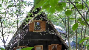 A wooden cabin with a triangular roof, surrounded by dense foliage. - Alpine Getaway in Tuscany (Cutigliano)
