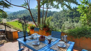 Ein Tisch im Freien mit schöner Aussicht, ein Grill und verschiedene Speisen.