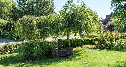 Mountain Biker’s Farmstay