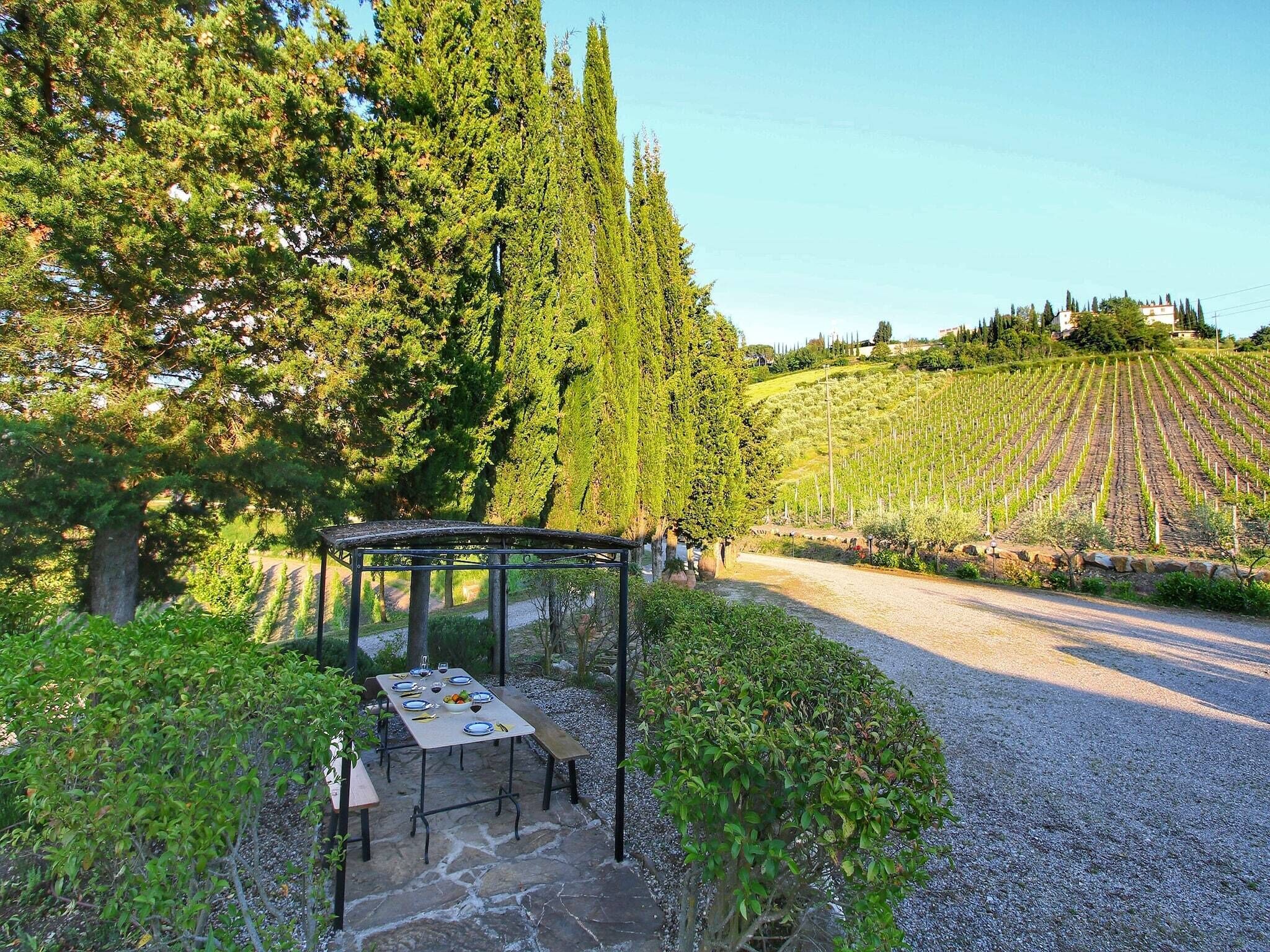 Viñedo con hileras de vid, un pérgola con una mesa lista para comer, y un camino de grava.