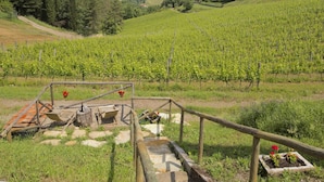 A vineyard with rows of grapevines, a rustic wooden structure, and a stone bench. - Chianti Hillside Farmhouse (Radda in Chianti)