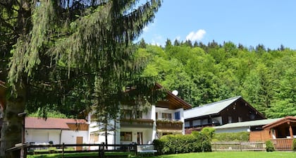 Ferienwohnung mit Bergaufenthalt in Schönau