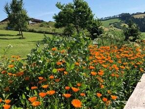 Property grounds - Relaxing Home with Jacuzzi (Waldkirchen)