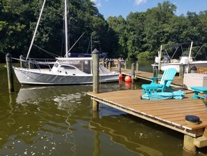 Marina - GREENNEST is an ENVIRONMENTALLY FRIENDLY  Waterfront home close to Annapolis (Annapolis)