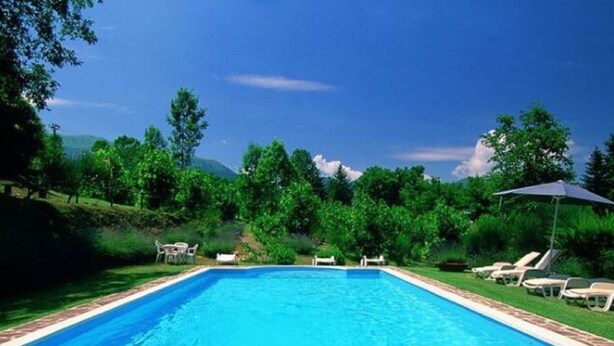 Une piscine rectangulaire bordée de pierres, entourée d’une pelouse avec des arbres et sous un ciel bleu dégagé.