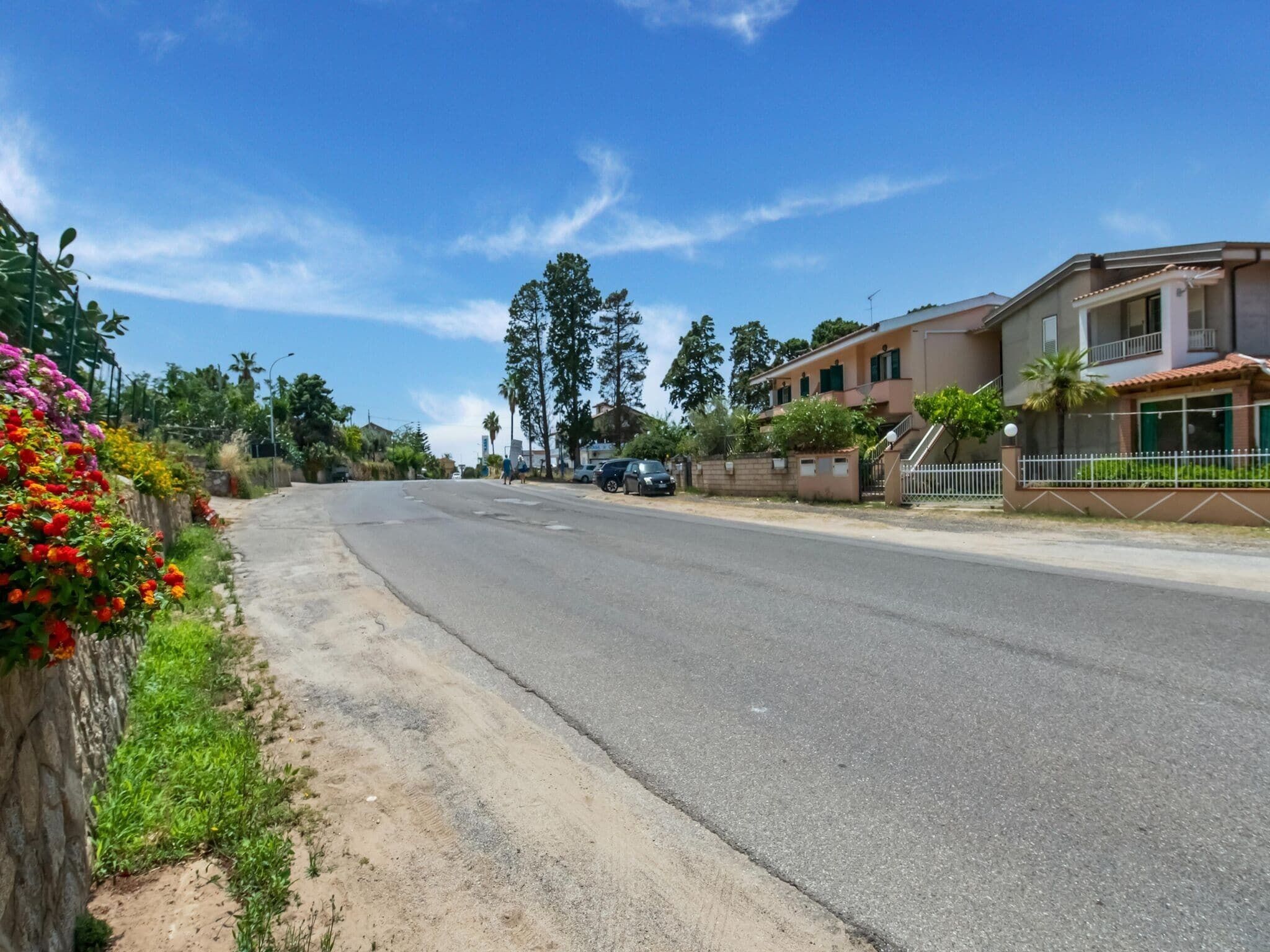 A residential street with houses, a clear sky, and a sidewalk with flowers.