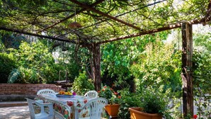 An outdoor patio with a table and chairs, surrounded by potted plants and a pergola.