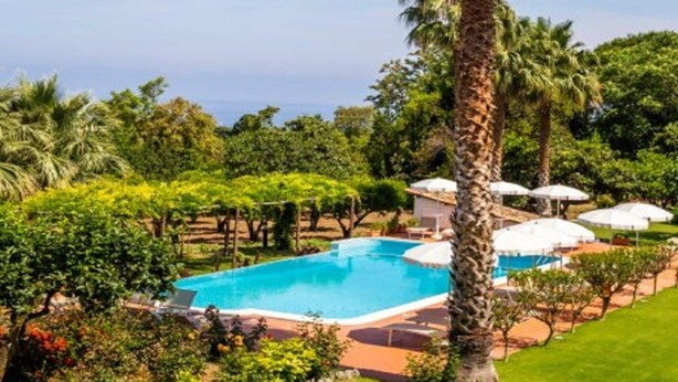 A pool surrounded by palm trees and greenery, with umbrellas and a view of the ocean.