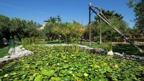 Un étang avec des nénuphars et, au fond, une structure équipée de panneaux solaires.