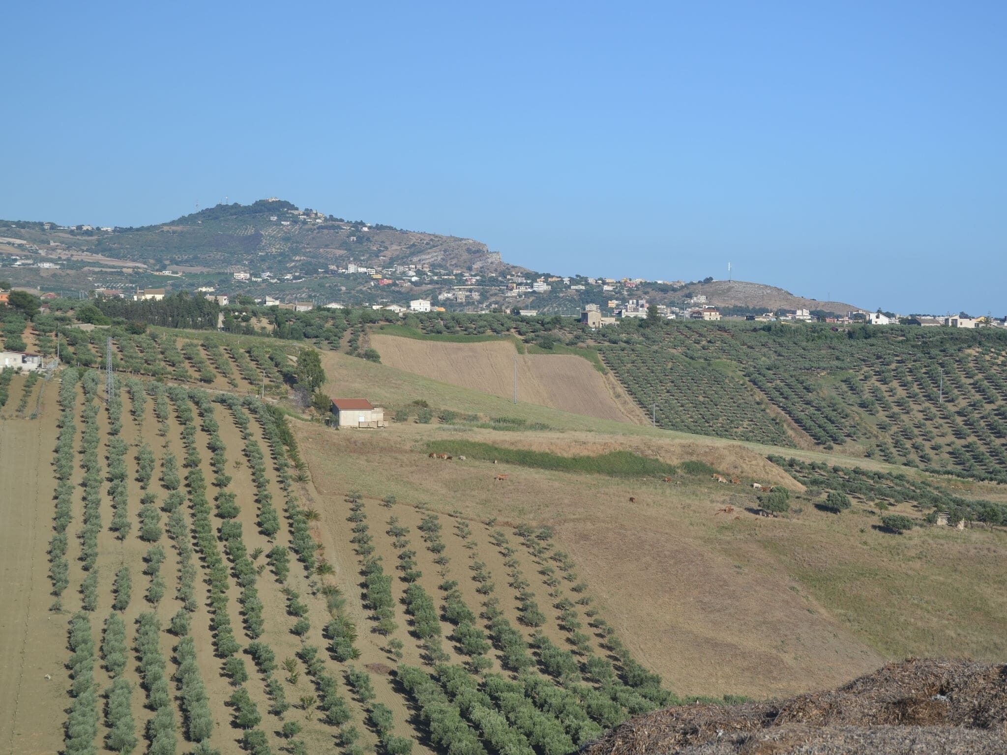 Surroundings [summer] (1-5 km)