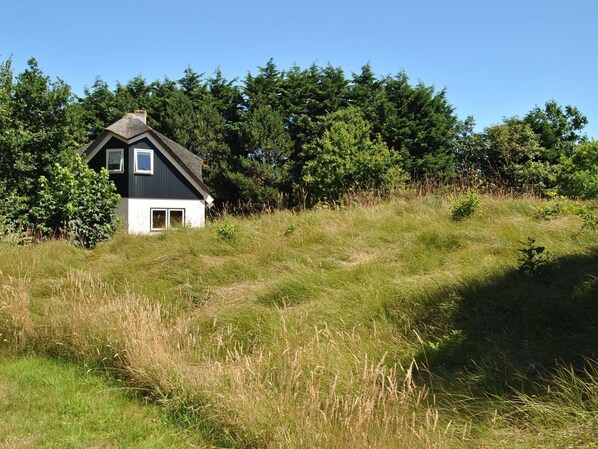 A house with a steeply pitched roof, surrounded by tall grass and dense trees.