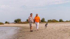 Two people walking on a sandy beach with a dog, holding hands.