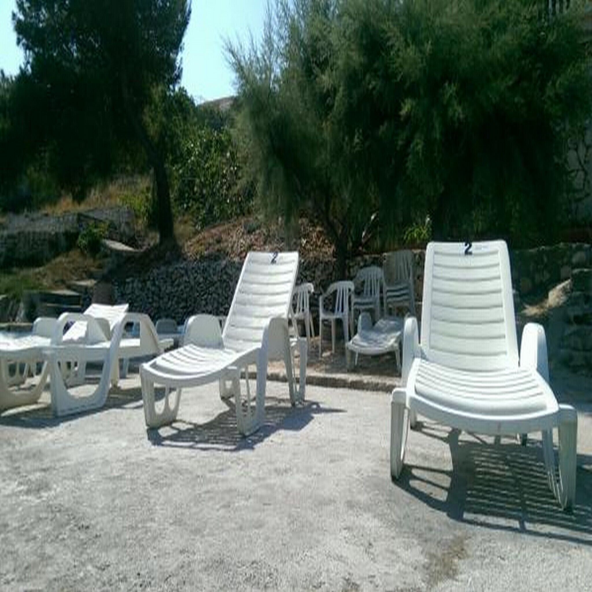 Outdoor lounge chairs arranged in rows on a gravel surface, with trees and a stone wall in the background.
