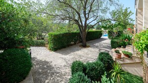 Un patio con un árbol grande, un sendero pavimentado y diversas plantas.