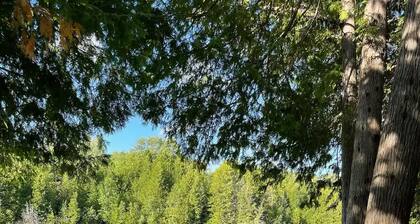 Nature lovers paradise with new dock