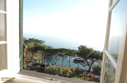 ideal for 4-5 people, facing the sea, + Garden, private sheltered outside & pool