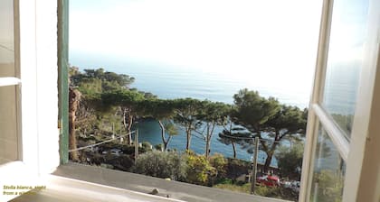 ideal for 4-5 people, facing the sea, + Garden, private sheltered outside & pool