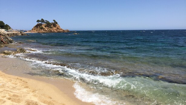 A beach with clear water, sandy shore, and a rocky outcrop with trees.