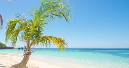 2 Bedroom 2 Bathroom in West Bay Village Roatan on the Beach