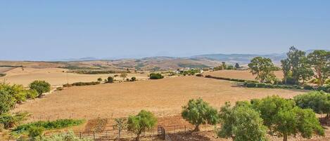 A rural landscape with fields, trees, and distant hills.